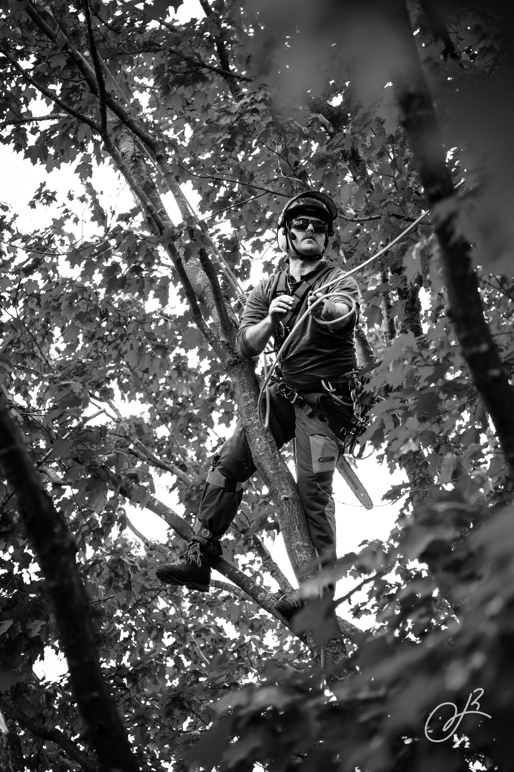 Photographie en noir et blanc de l'arboriculteur Benjamin Dutremble de Foxtec